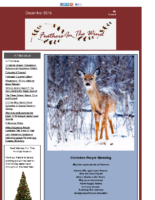 December 2016 Newsletter – Feathers In The Wind