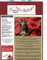 September 2016 Newsletter – Feathers In The Wind